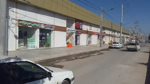 برودتی حمیدزاده