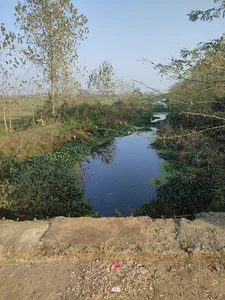ممیز بیریج