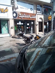 پوشاک اسب سفید