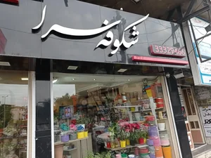 شکوفه سرا 3