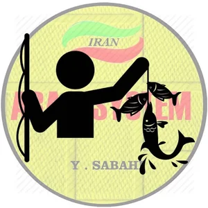 Aras system