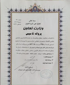 شرکت قالیشویی بزرگ آرین (فولادی)