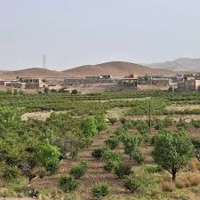 روستایی زیبای جعفرآباد خراسان جنوبی برای دیدن تصاویر بیشتر از جعفرآباد زیبا  پیج ما را دنبال کنید🌹🙏 @jafarabad_village @jafarabad_village #جعفرآباد  #بیرجند #خراسان_جنوبی #خراسان #قاین #روستا #طبعیت #پاییز #زرشک #زعفران  #گردشگری #