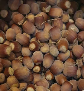 طرقبه طرقدر