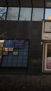 آرایش وپیرایش رخ نقره ای 3