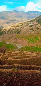 استودیو گرگان عکس