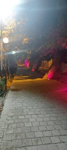 خدمات برق خودرو محمود