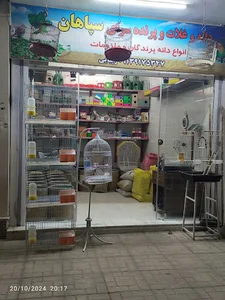 دان و غلات و پرنده فروشی سپاهان