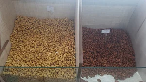 آجیل و خشکبار امیر