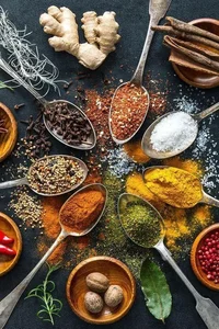 عطاری پاشا حکیم Paşa Hakim