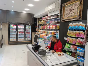 شهر پروتئین مانلی