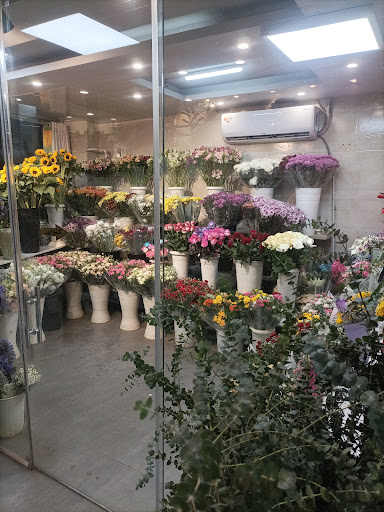 Rose Florist MEHRSHAHR