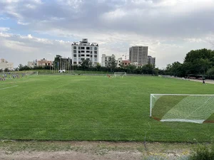 زمین چمن فوتبال