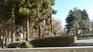 بوستان شقايق