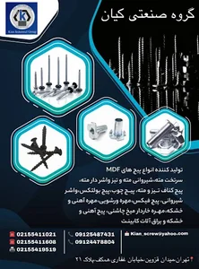 گروه صنعتی کیان