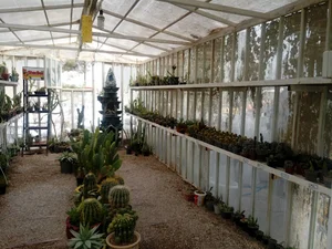 نهالستان و گلخانه پردیس پارسهnursery&green house