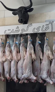 آقای گوشت