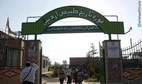 موزه تاریخ طبیعی 2