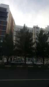 بیمه ملت