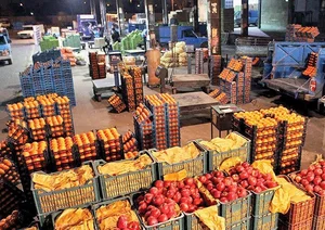باغ میوه پسرحاجی
