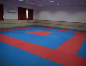 باشگاه کاراته و دفاع شخصی