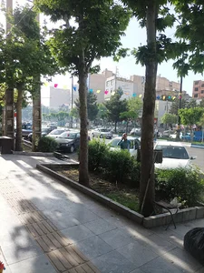طباخی طهران