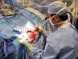 Dr. Seyyed arash mansouri