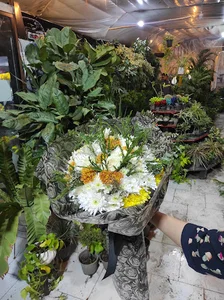 گل خانه ارکید و صبحانه خوری ارکیده