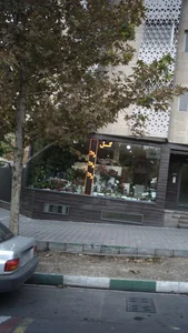 گلفروشی بالرینا 3