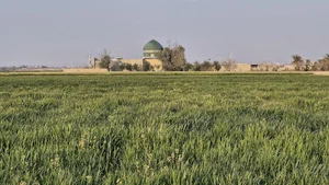 مسجد نبی