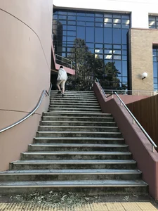 Building 41