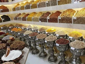 بازرگانی آجیل و خشکبار دانش