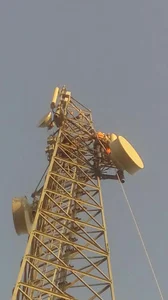 سام تلکام