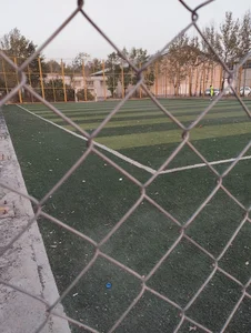 چمن مصنوعی آزادی