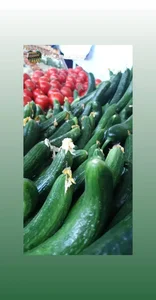 هایپر میوه دانشگاه 3