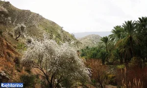 روستای تنگ فاریاب 5
