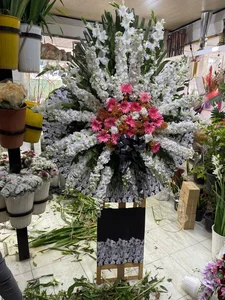 گل خوشه 2
