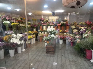 آقای گل
