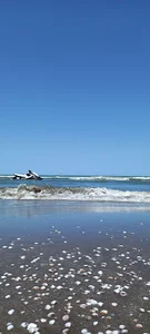 ساحل دریای طالب آباد