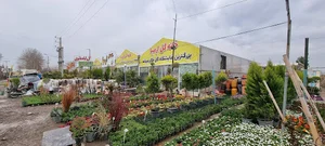 نمایشگاه دائمی خانه گل ارمیا | مجموعه کشاورزی هلیاد شعبه ۳