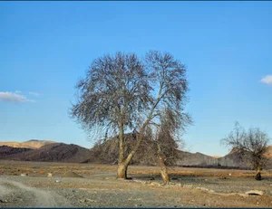 قنات نوح آباد