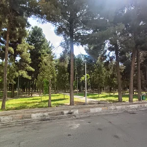 پارک یاسمن