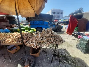 یکشنبه بازار دانیال