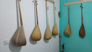خانه دوتار تربت جام