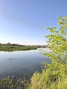 پارک ساحلی برکه دزفول