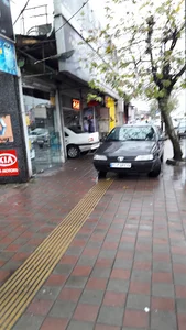 نمایندگی دزگیر مجیکار رضا رهنورد