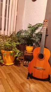 Orang Music School 5