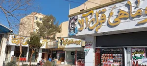 جوجه ذغالی توکا