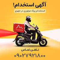 بادپا - شعبه نگین اندیشه کد 957
