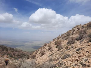 کوه سپیدار